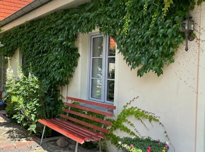 Fewo Im Kneipenviertel Altkoetzschenbroda