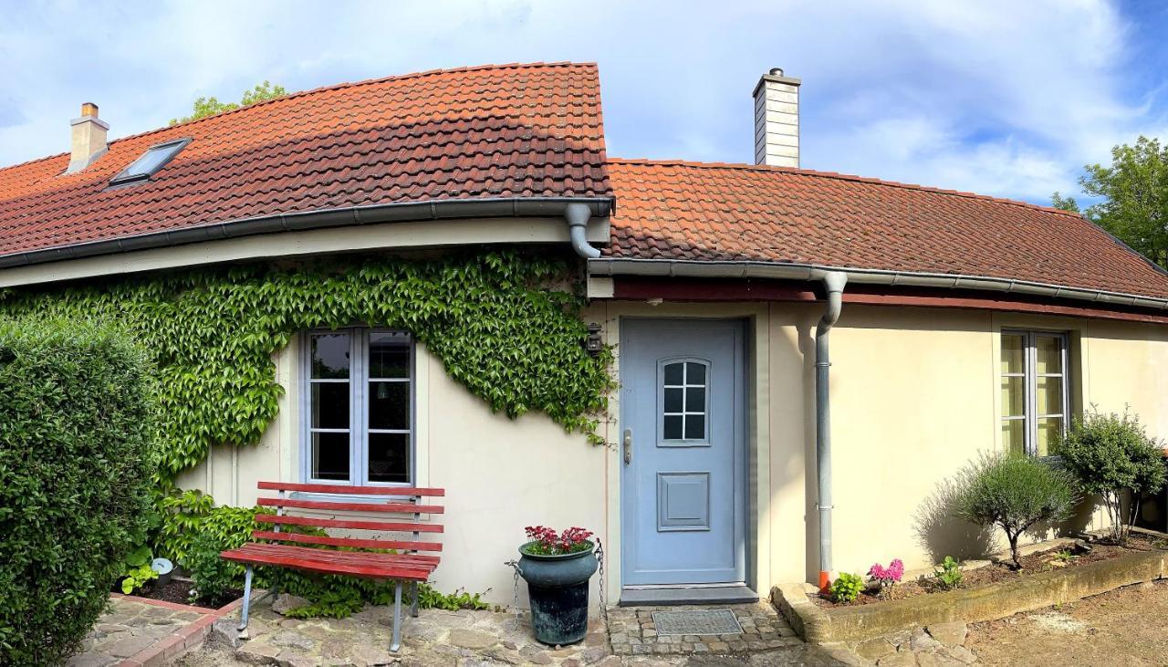 Im Kneipenviertel Altkoetzschenbroda Apartment