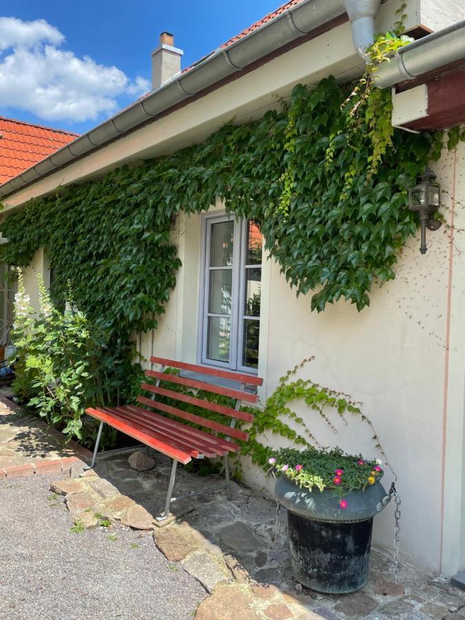 Im Kneipenviertel Altkoetzschenbroda Apartment Radebeul